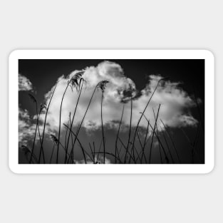 Grass In The Clouds Sticker